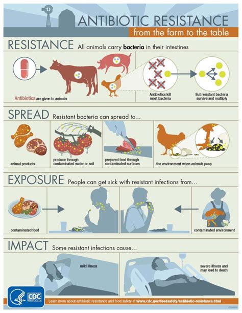 why are factory farmed foods and antibiotics a problem